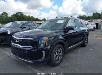 Lot #2996535210 2022 KIA TELLURIDE EX