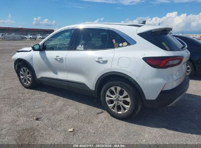 Lot #2990350795 2023 FORD ESCAPE ACTIVE