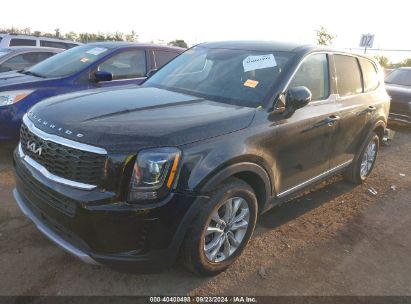 Lot #2996535190 2022 KIA TELLURIDE LX