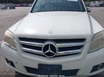 Lot #2996535184 2010 MERCEDES-BENZ GLK 350