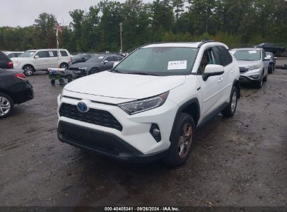 Lot #2992818101 2021 TOYOTA RAV4 HYBRID XLE