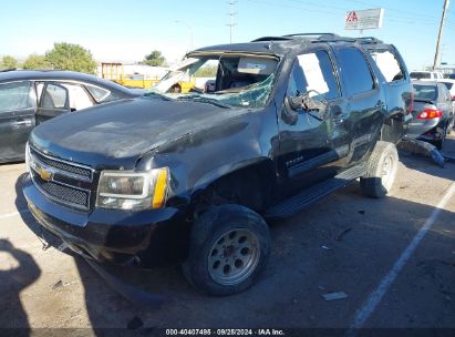 Lot #2992831819 2013 CHEVROLET TAHOE LT