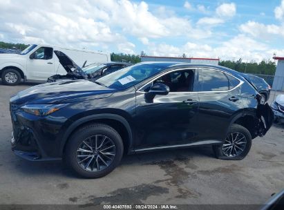 Lot #3010288181 2023 LEXUS NX 250