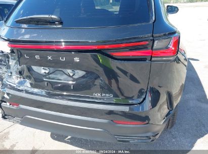 Lot #3010288181 2023 LEXUS NX 250