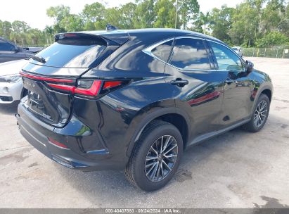 Lot #3010288181 2023 LEXUS NX 250