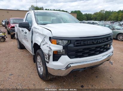 Lot #2997762814 2022 CHEVROLET SILVERADO 1500 2WD REGULAR CAB LONG BED WT