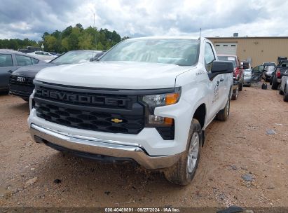 Lot #2997762814 2022 CHEVROLET SILVERADO 1500 2WD REGULAR CAB LONG BED WT