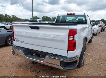 Lot #2997762814 2022 CHEVROLET SILVERADO 1500 2WD REGULAR CAB LONG BED WT