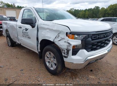 Lot #2997762814 2022 CHEVROLET SILVERADO 1500 2WD REGULAR CAB LONG BED WT