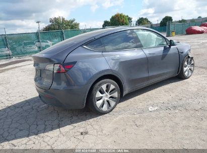 Lot #2992818058 2023 TESLA MODEL Y