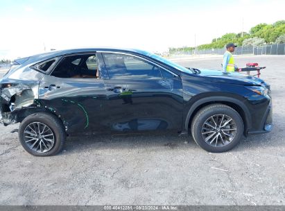 Lot #3007845385 2024 LEXUS NX 250 PREMIUM