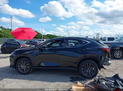 Lot #3007845385 2024 LEXUS NX 250 PREMIUM