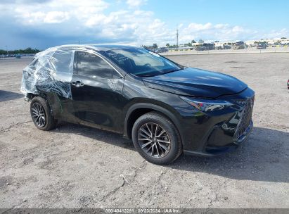 Lot #3007845385 2024 LEXUS NX 250 PREMIUM