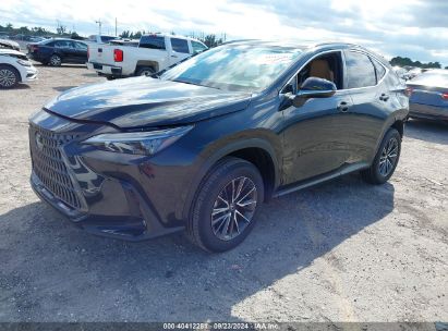 Lot #3007845385 2024 LEXUS NX 250 PREMIUM