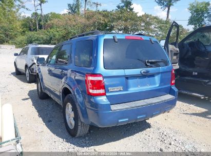 Lot #2997778294 2009 FORD ESCAPE XLT