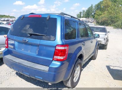 Lot #2997778294 2009 FORD ESCAPE XLT