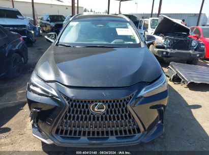 Lot #3037533525 2024 LEXUS NX 350 LUXURY