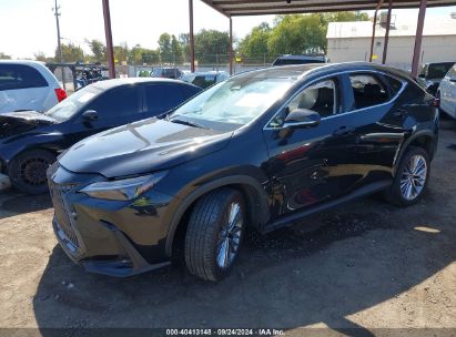 Lot #3037533525 2024 LEXUS NX 350 LUXURY