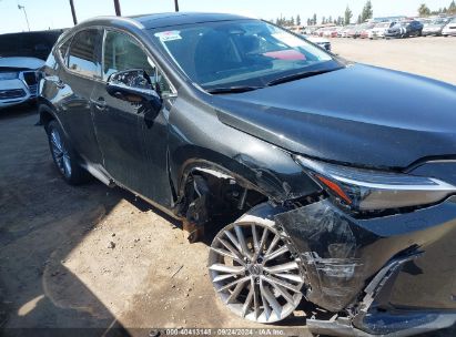 Lot #3037533525 2024 LEXUS NX 350 LUXURY