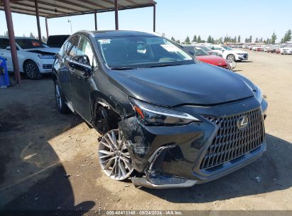 Lot #3037533525 2024 LEXUS NX 350 LUXURY