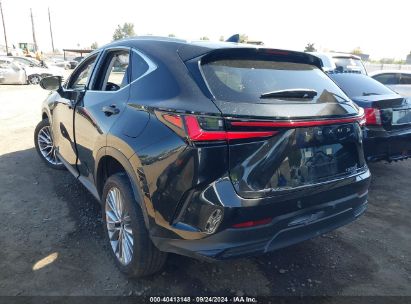 Lot #3037533525 2024 LEXUS NX 350 LUXURY