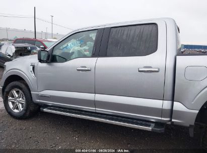 Lot #2989126832 2024 FORD F-150 XLT