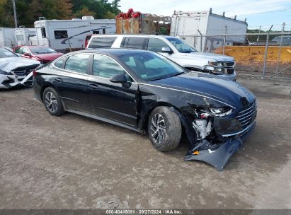 Lot #2997778266 2022 HYUNDAI SONATA HYBRID BLUE