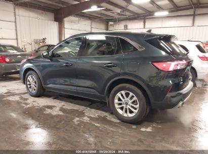 Lot #2990354778 2022 FORD ESCAPE SE