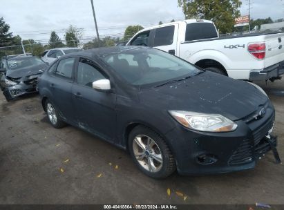 Lot #3035077637 2013 FORD FOCUS SE