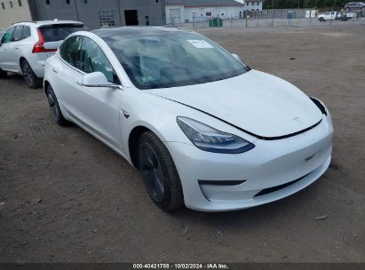 Lot #2992818207 2020 TESLA MODEL 3 STANDARD RANGE PLUS REAR-WHEEL DRIVE/STANDARD RANGE REAR-WHEEL DRIVE