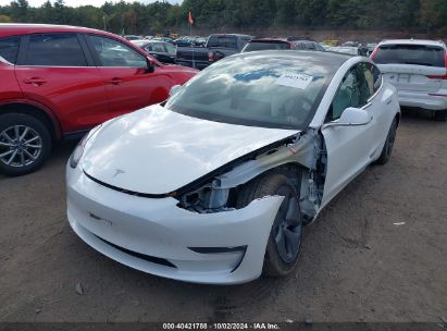 Lot #2992818207 2020 TESLA MODEL 3 STANDARD RANGE PLUS REAR-WHEEL DRIVE/STANDARD RANGE REAR-WHEEL DRIVE