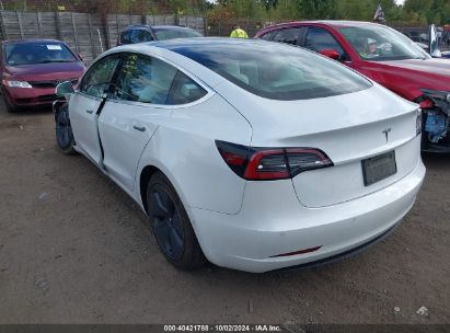 Lot #2992818207 2020 TESLA MODEL 3 STANDARD RANGE PLUS REAR-WHEEL DRIVE/STANDARD RANGE REAR-WHEEL DRIVE