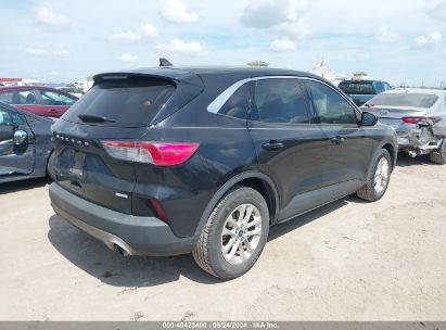 Lot #2992830712 2020 FORD ESCAPE SE