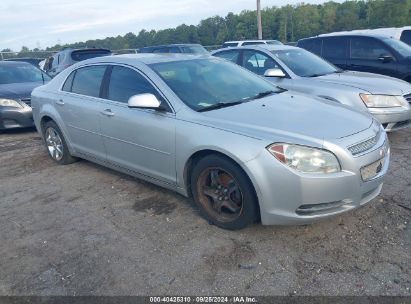 Lot #3035077567 2009 CHEVROLET MALIBU LT