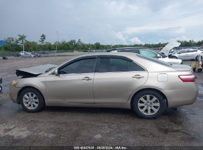 Lot #2995286102 2009 TOYOTA CAMRY HYBRID