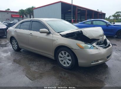 Lot #2995286102 2009 TOYOTA CAMRY HYBRID