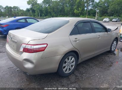 Lot #2995286102 2009 TOYOTA CAMRY HYBRID