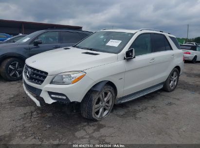 Lot #2992835238 2012 MERCEDES-BENZ ML 350 4MATIC