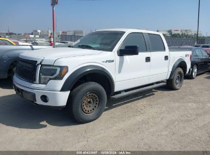 Lot #2961252958 2014 FORD F-150 STX