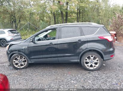 Lot #2997777756 2014 FORD ESCAPE TITANIUM