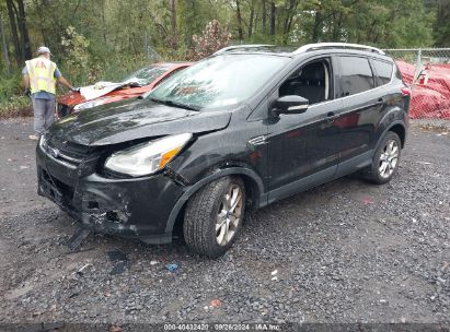 Lot #2997777756 2014 FORD ESCAPE TITANIUM