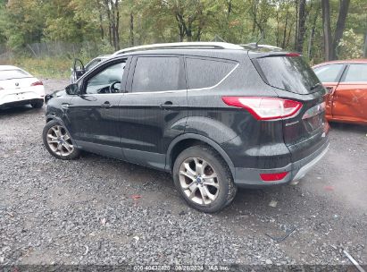 Lot #2997777756 2014 FORD ESCAPE TITANIUM