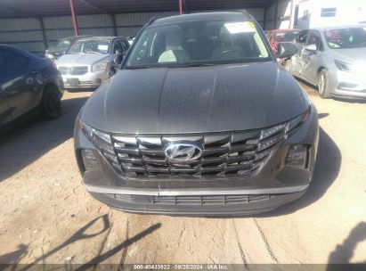 Lot #2990354723 2023 HYUNDAI TUCSON SEL