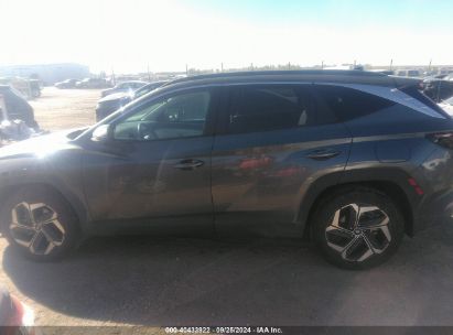 Lot #2990354723 2023 HYUNDAI TUCSON SEL