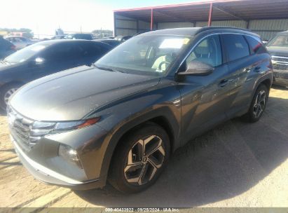 Lot #2990354723 2023 HYUNDAI TUCSON SEL