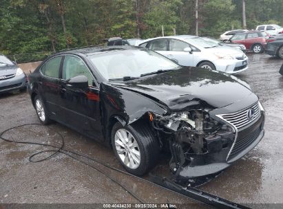 Lot #3005351110 2014 LEXUS ES 300H