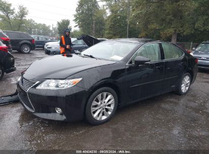 Lot #3005351110 2014 LEXUS ES 300H