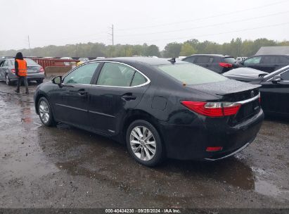 Lot #3005351110 2014 LEXUS ES 300H