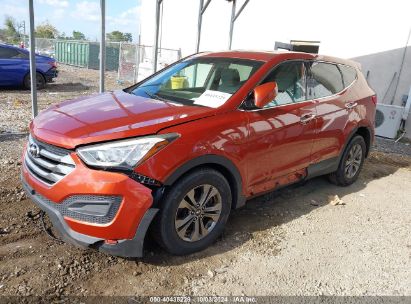 Lot #2992827021 2016 HYUNDAI SANTA FE SPORT 2.4L