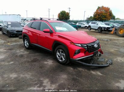 Lot #3006594536 2022 HYUNDAI TUCSON SEL